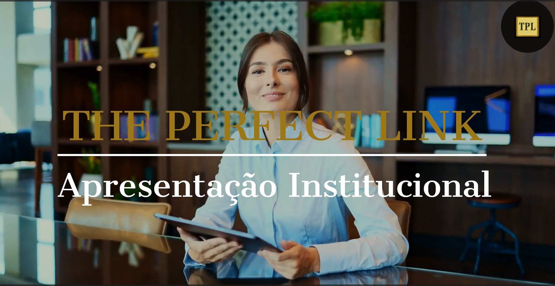 THE PERFECT LINK Empresa de Auditoria